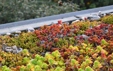 the cost of Crook Of Devon green roof installation